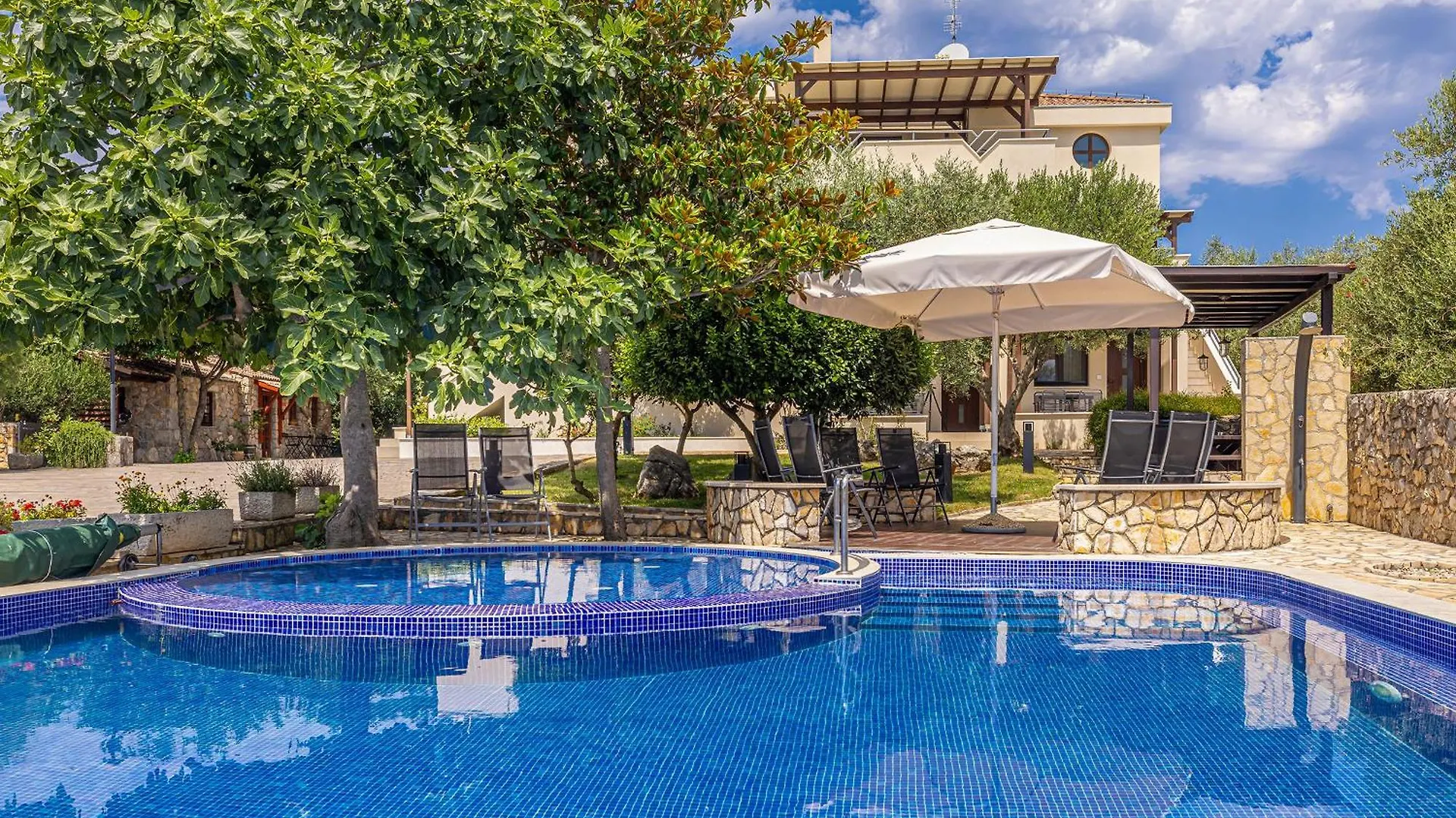 Villa Haya With Heated Pool Linardići