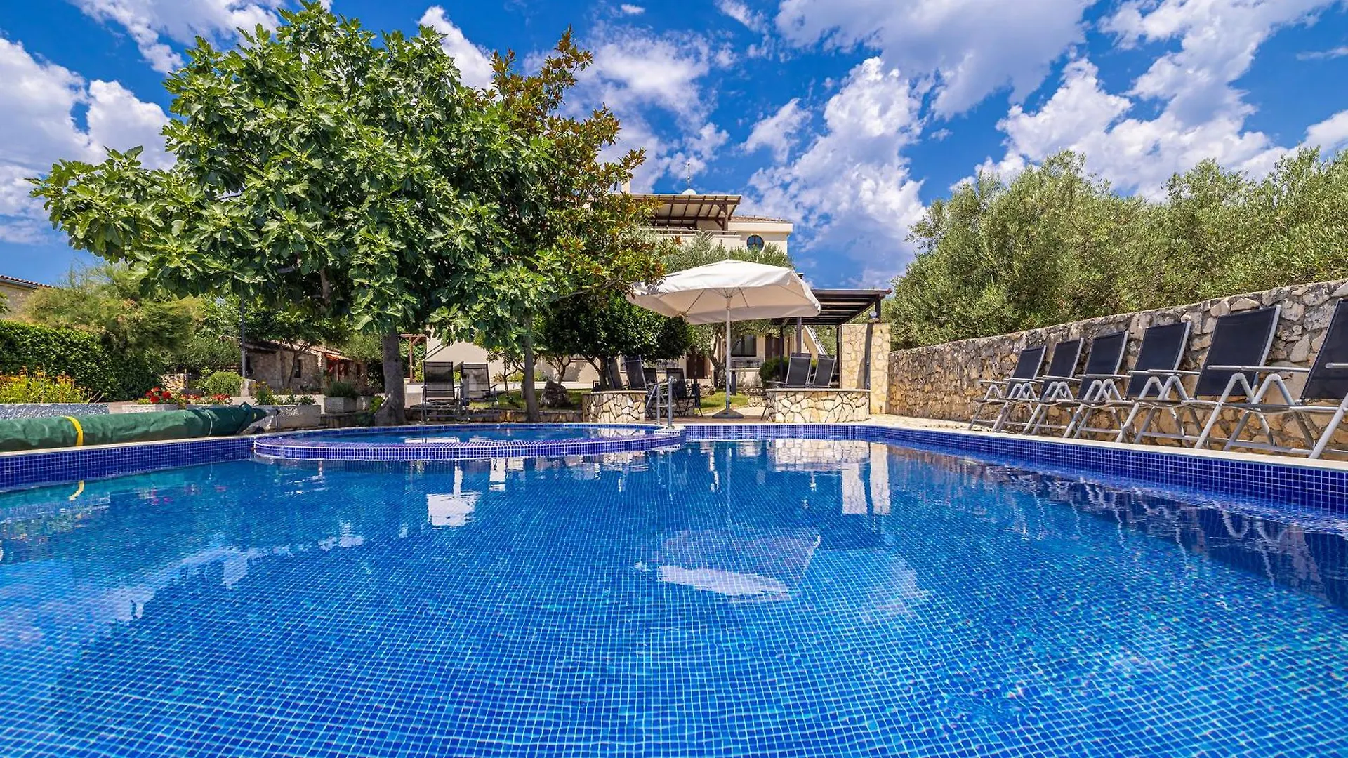 Villa Haya With Heated Pool Linardići 0*,