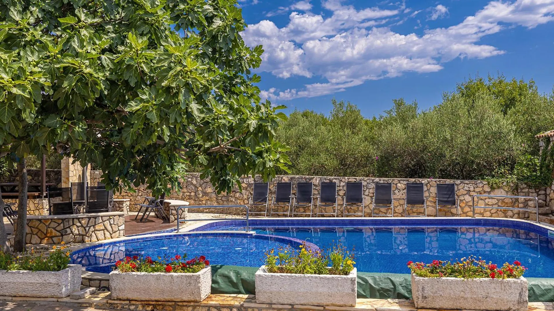 Villa Haya With Heated Pool Linardići
